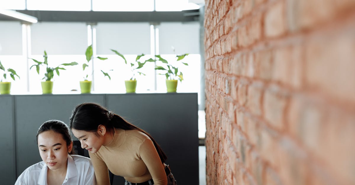 末日围城：海藻视频APP详情下载教程